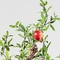 Height 65cm Artificial Potted Floor Plants Pomegranate Tree Corner Table Decoration