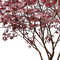 All Season Simulated Anti UV Artificial Maple Tree Indoor Ornament