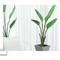 Eco Friendly Artificial Potted Floor Plants PU Traveler Banana Palm Bonsai Ornament