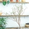 130cm Artificial Tree Branches Indoor Ornaments Creative Bonsai