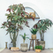 Peacock Wood Artificial Tropical Tree Potted Plant Indoor Window Office Floor Decoration