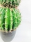 Cactus Ball Highly Lifelike 90cm Artificial Succulent Plant Round Shape