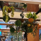 ODM Floral Hanging Basket Pendant Pub Space Beautifying