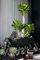 Anti Aging Artificial Succulent Plant Home Interior Landscape Set Pieces Potted