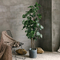 Bonsai Nordic Artificial Money Ficus Tree Home Living Room Floor Decor