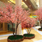 Peach Blossom Cherry Artificial Wishing Tree Indoor Festival Wedding Decoration