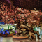Lush Cherry Artificial Landscape Trees Exhibition Decorative