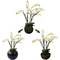 Lifelike Green Artificial Tropical Plant For Office Table Moth Orchid