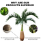 Plastic Leaves Decorative Artificial Bottle Palm Tree For Shopping Center
