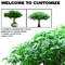 Anti UV Outdoor Artificial Landscape Trees Pittosporum For Hotel Decoration