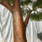 Wind Resistance Fake Landscape Trees Senegal Acacia For Party Decor