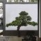 Large Outdoor Artificial Bonsai Tree 1M 2M 3M Green Pine Plant For Garden Centerpiece Decor