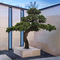 Large Outdoor Artificial Bonsai Tree 1M 2M 3M Green Pine Plant For Garden Centerpiece Decor