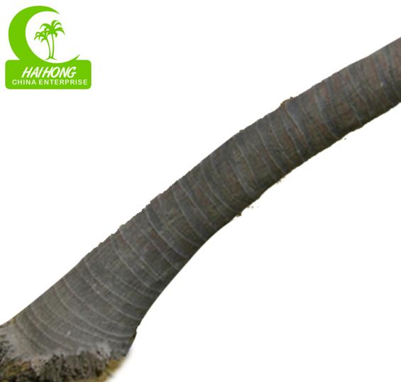 All season 400cm Height Artificial Tropical Tree , Large Artificial