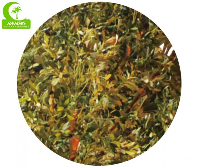 product-1-1 Flame Retardant HAIHONG 400cm Artificial Olive Tree Realistic 2