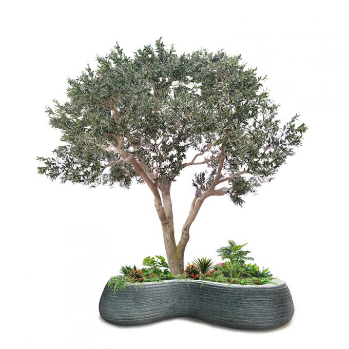 Custom Fiberglass Olive Artificial Landscape Trees Garden Decoration 0