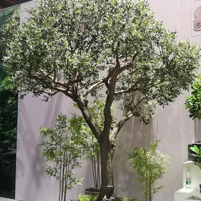 Custom Fiberglass Olive Artificial Landscape Trees Garden Decoration 1