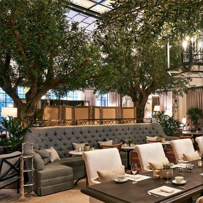 Custom Fiberglass Olive Artificial Landscape Trees Garden Decoration 3