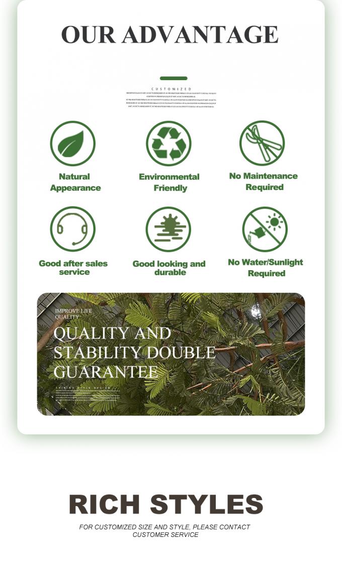 Anti UV Artificial Babul Trees For Outdoor Landscape Evergreen 5.5 Meters Fiber Glass 1