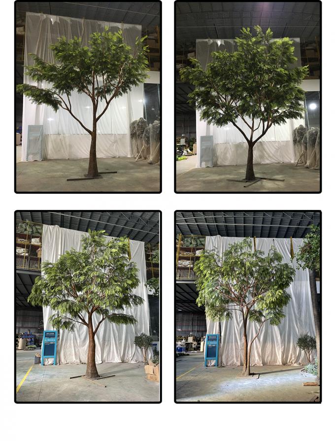 Anti UV Artificial Babul Trees For Outdoor Landscape Evergreen 5.5 Meters Fiber Glass 2