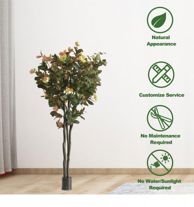 Customized Large Plastic Artificial Magnolia Tree 600cm Height