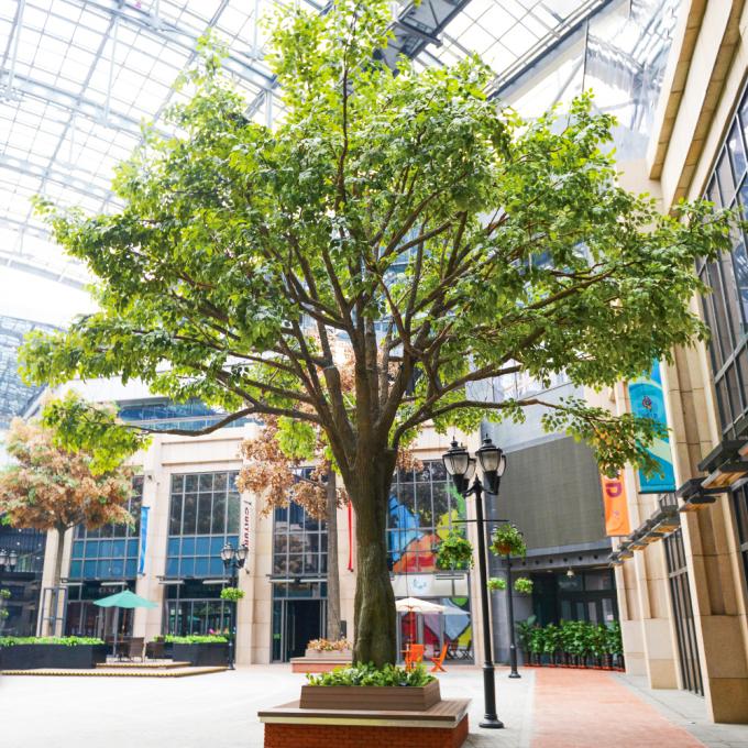 Bespoke Large Fake Ficus Tree Custom Height Foliage Tree 220m