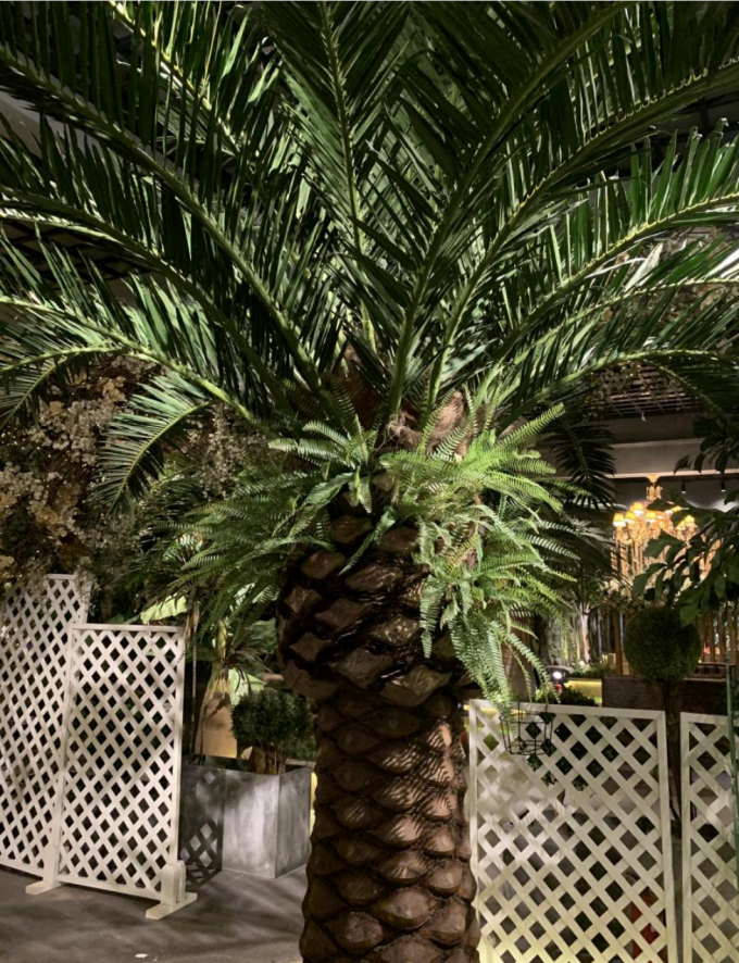 Custom Artificial Date Tree For Theme Park Hotels Easy To Install Low