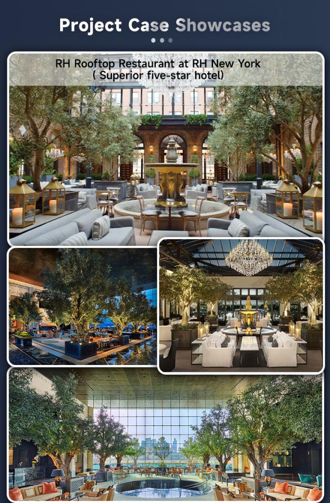 Customized Large Olive Artifical Tree Simulation Indoor Restaurant Decoration 6