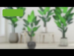 Faux Traveller's Palm Tree (birds of paradise palm) - 180cm/200cm Realistic PE Leaf Artificial Pl