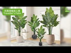 Artificial Travelers Palm with Realistic  Leaf Edges 160cm 180cm | Lifelike Faux Bird of Paradise Pl