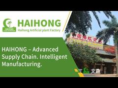 HAIHONG artificial plant factory from China