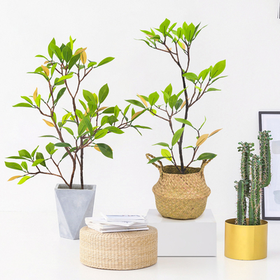 Real Looking Artificial Mangrove Waterpoof Bathroom Decoration Plant