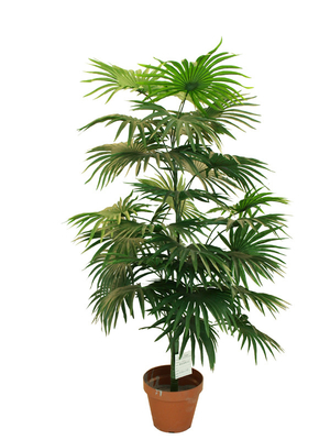 105cm Height Artificial Potted Floor Plants Mini Fan Palm Tree