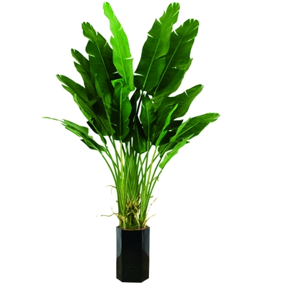 Anti - Fading Plastic Artificial Landscape Trees Potted Bird Of Paradise