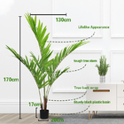 Outdoor Garden Artificial Potted Floor Plants 120-180cm Height Kenita Tree With Pot