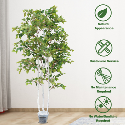 Ornamental Plant Artificial Radermachera sinica Indoor Landscape Natural Greening