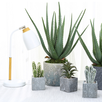 Customizable Landscape 23CM Artificial Potted Floor Plants Green Aloe Garden Decoration