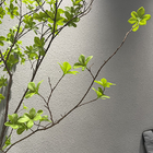 OEM Artificial Landscape Trees Nandina 120cm Silk Plants Potted Indoor Washed