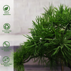 Custom Size Artificial Bonsai Office Silk Potted Palnts Desk Decoration Vibe Green Plants