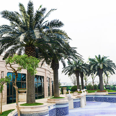 Artificial 15m Date Palm Tree For Theme Park Canteen Long Lasting Anti UV