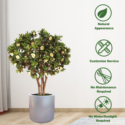 Environmentally Friendly Artificial Magnolia Tree No Color Fading Evergreen Plants