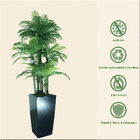 ODM Artificial Landscape Trees Feather Palm Detailed Natural Leaves Indoor Decor