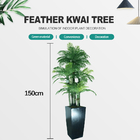 ODM Artificial Landscape Trees Feather Palm Detailed Natural Leaves Indoor Decor