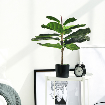 Harmless Artificial Ficus Lyrata 65cm Indoor Potted Plant For Garden Decor