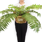 Customized Large Artificial Fern Branches Decoration Bonsai Plants
