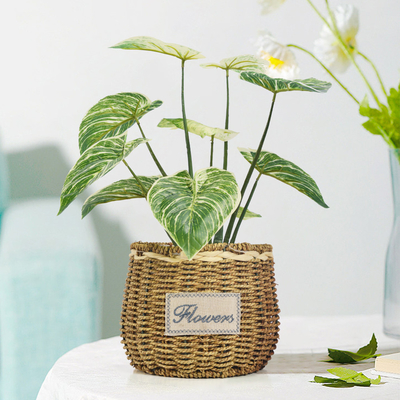 Ornamental Small Items Artificial Potted Floor Plants Philodendron Birkin