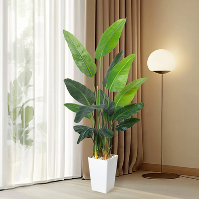 Artificial Bird of Paradise Plant 6.8FT - Luxury Faux Palm Tree in White Planter for Indoor Office Decor