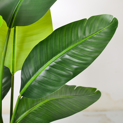Artificial Bird of Paradise Plant 6.8FT - Luxury Faux Palm Tree in White Planter for Indoor Office Decor