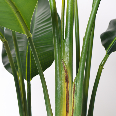 Artificial Bird of Paradise Plant 6.8FT - Luxury Faux Palm Tree in White Planter for Indoor Office Decor
