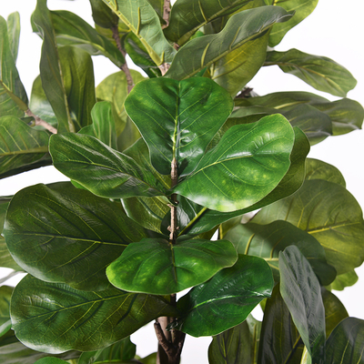 Artificial Ficus Microcarpa  6 Ft Indoor Pot Faux Fiddle Leaf Fig Tree For Indoor Living Room Decoa